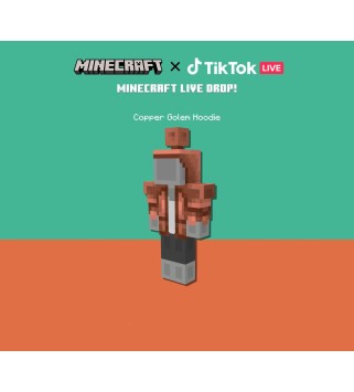 Minecraft Java & Bedrock Edition - Copper Core Twitch Skin DLC MS Store (PC) Key GLOBAL